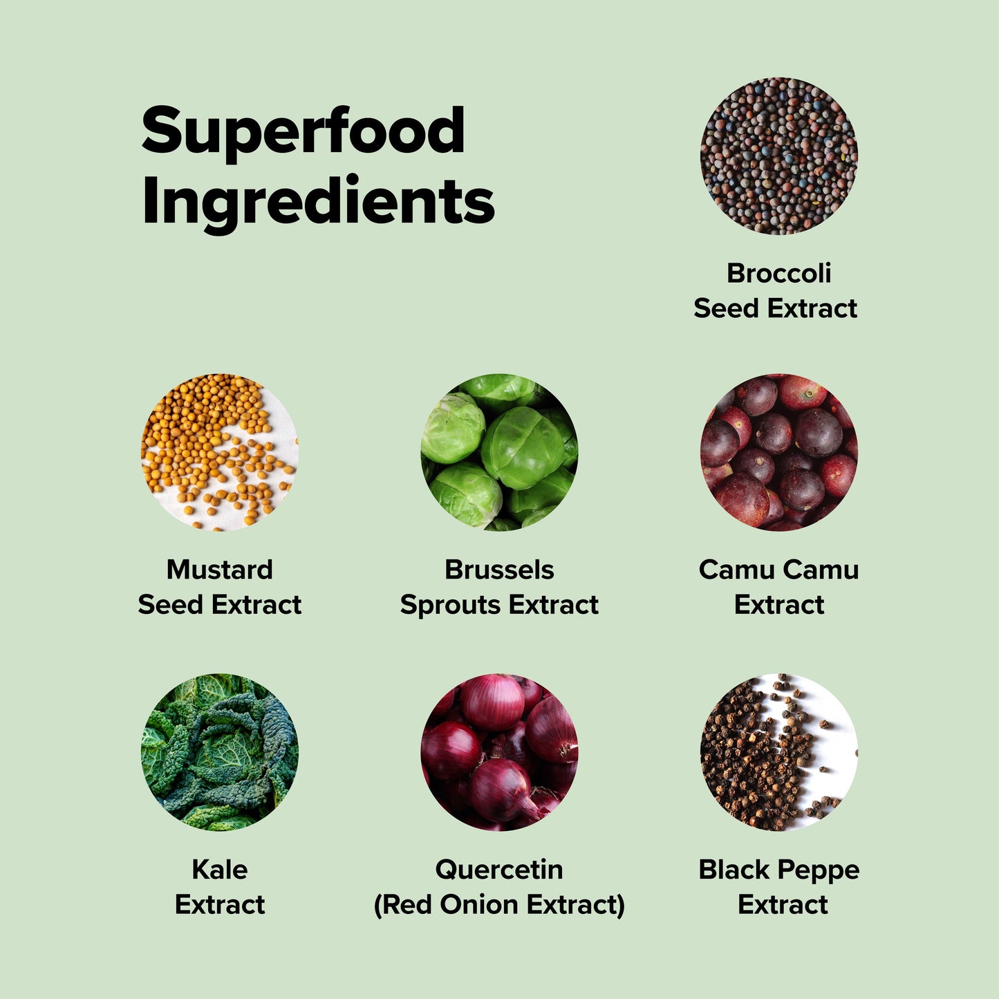Visual list of superfood ingredients in Complement Sulfora including broccoli seed, mustard seed, Brussels sprouts, kale, camu camu, quercetin, and black pepper extract.